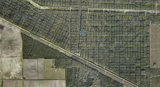 E Deep Creek Boulevard, Hastings, פלורידה 32145, ארצות הברית של אמריקה 