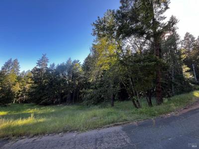 26048 Peacock Road, Willits, Kalifornien 95490, USA