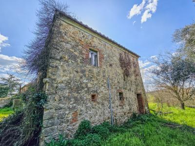 Vial podere nuovo snc, Civitella Paganico, Toscana 58045, Italia