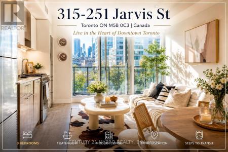 251 JARVIS STREET, Toronto (church-yonge Corridor), Ontario M5B 0C3, Canadá