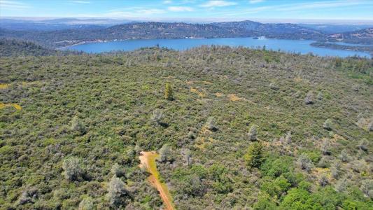 12934 Wild Acres Way, Oregon House, California 95962, USA