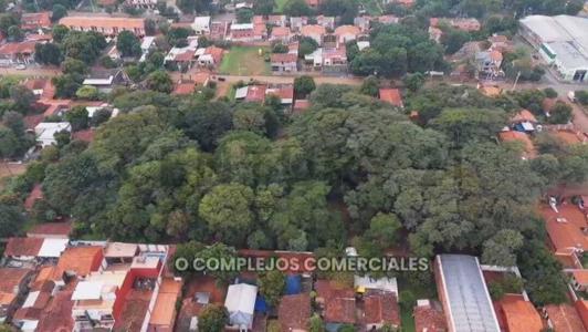 Fernando De La Mora, Central 00001, Le Paraguay