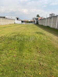 Pedro Velez 824,, Metepec, Meksyk (stan) 52176, Meksyk