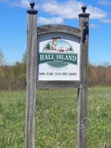 Gay Drive, Orwell, NY 13302, USA