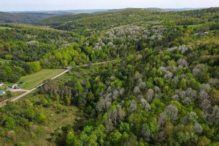 300 Miller Hollow Road, Waverly, NY 14892, USA