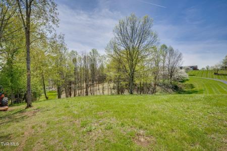 Tbd Chaucer Court, Johnson City, Tennessee 37615, USA