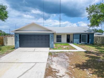 13318 Hollowbend Ln, Riverview, Florida 33569, USA
