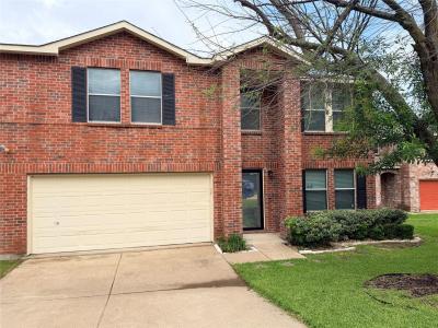 3801 Quail View, McKinney, Texas 75071, Stati Uniti