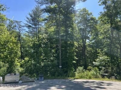 325 Beckett Ridge Rd, Townsend, Tennessee 37882, USA