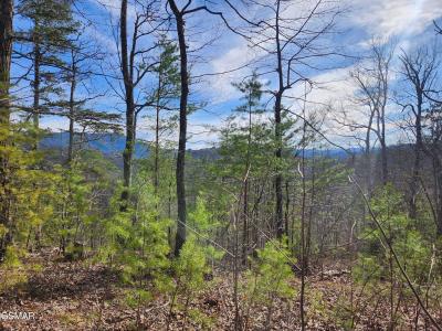 Lot 46 Feld Wynde Close Way, Sevierville, Tennessee 37862, USA