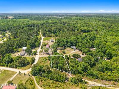 490 Wine View Court SE, Bolivia, NC 28422, USA