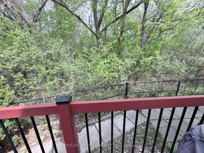 118 MAY AVENUE, Richmond Hill, Ontario L4C 3S6, Canada