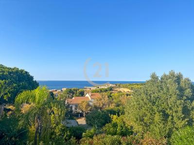 Corbara, Corse 20220, 法国