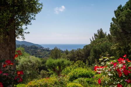 La Croix Valmer, Provence-Alpes-Côte d'Azur 83420, France
