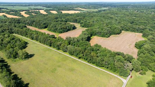 8543 Frey Rd, Pleasant Plains, Illinois 62677, USA