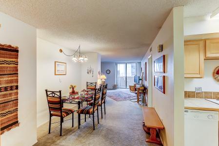 1020 15th Street #22-D , Denver, Colorado 80202, HOA KỲ