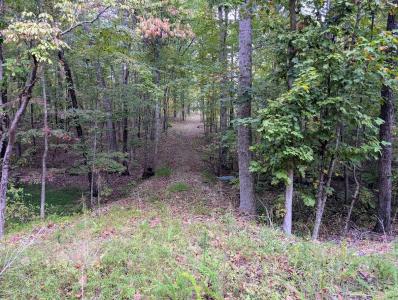 0 Deer Run Rd. Lot 146, Altamont, Tennessee 37301, USA