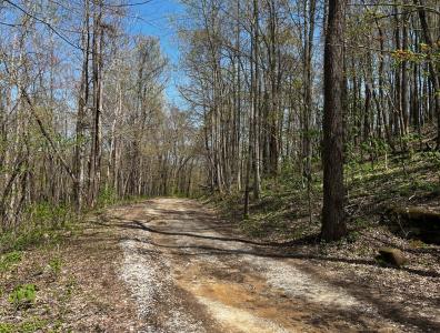 0 Gap Rd., Altamont, Tennessee 37301, USA