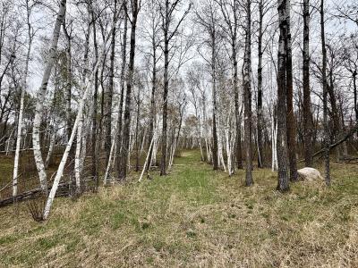 TBD Acorn Ridge Rd NW Lot 18, Bemidji, Minnesota 56601