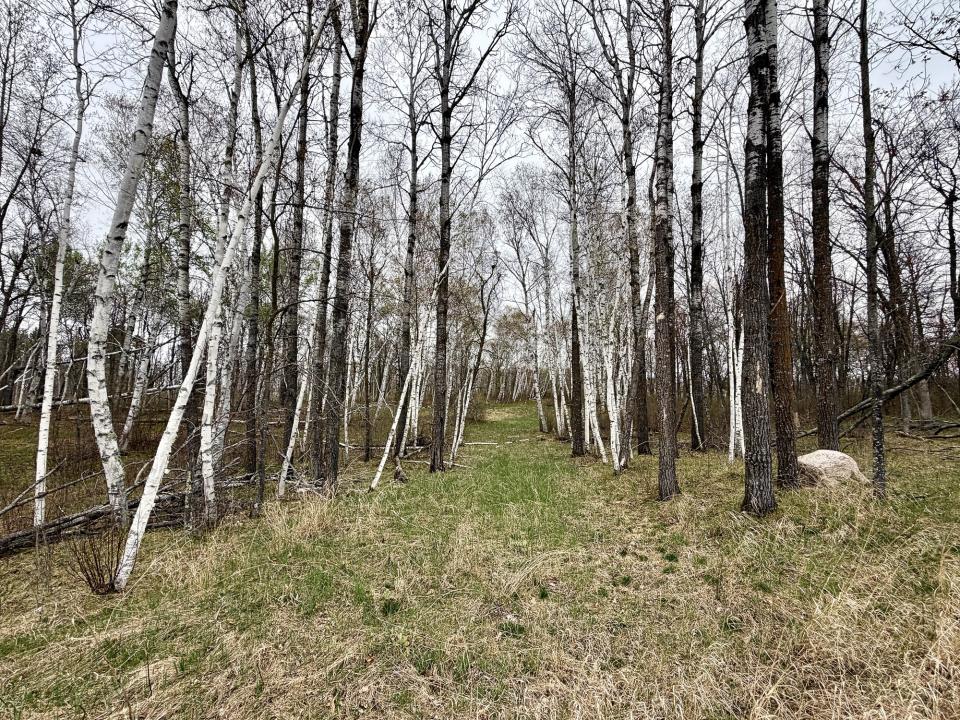 TBD Acorn Ridge Rd NW Lot 18, Bemidji, Minnesota 56601