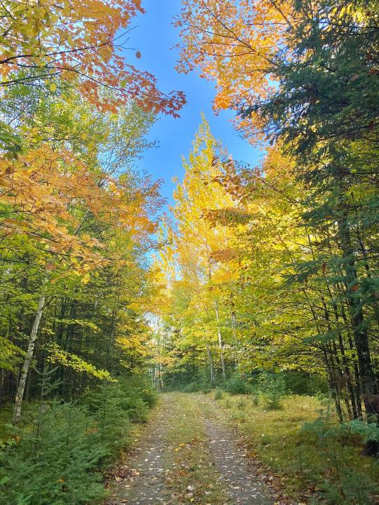 3249W Tahoe Cr, Mercer, Wisconsin 54547, Estados Unidos