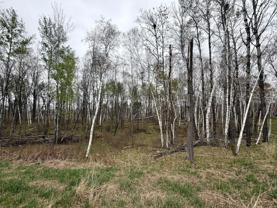 TBD Acorn Ridge Rd NW Lot 17, Bemidji, Minnesota 56601