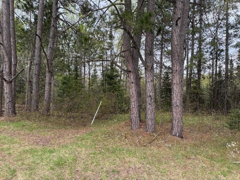 ON HWY 51 , Oma, Wisconsin 54534, Estados Unidos