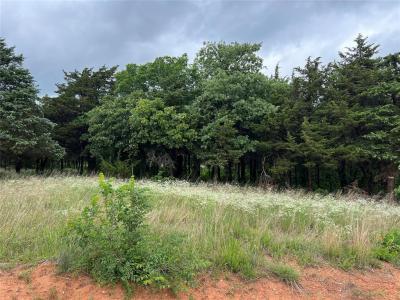 9740 Cedar View Lane, Guthrie, Oklahoma 73044, USA