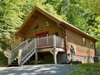 411 Abrams Falls Way, Gatlinburg, Tennessee 37738, USA