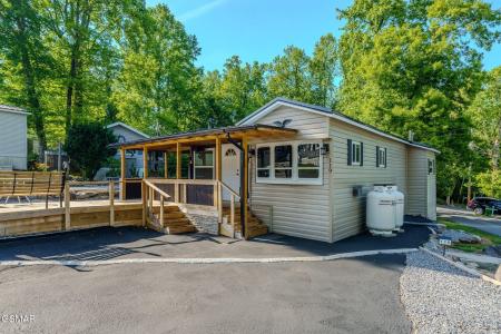 5355 East Parkway, Cosby, טנסי 37722, ארצות הברית של אמריקה 