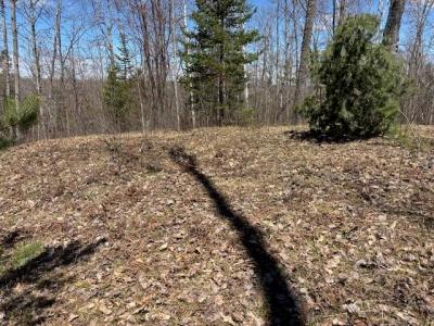 10098 N Old 27, Frederic, Michigan 49733, USA