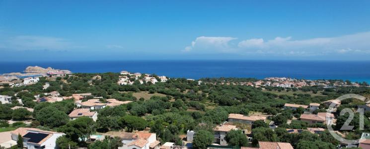Monticello, Corse 20220, France