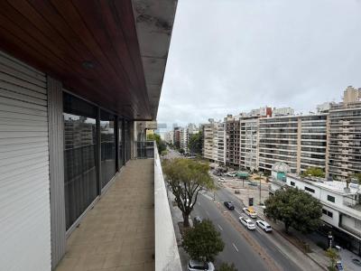 Bv España 2725, Pocitos, Montevideo 00001, Uruguay