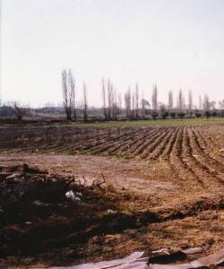 Pública s/n , Las Compuertas, Mendoza 5549, Argentinien