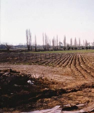 Pública s/n , Las Compuertas, Mendoza 5549, Argentina
