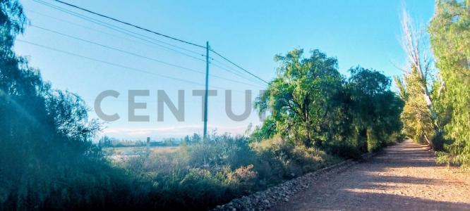 Terrada y Azcuenaga S/N, Maipú, Mendoza 5517, Argentine