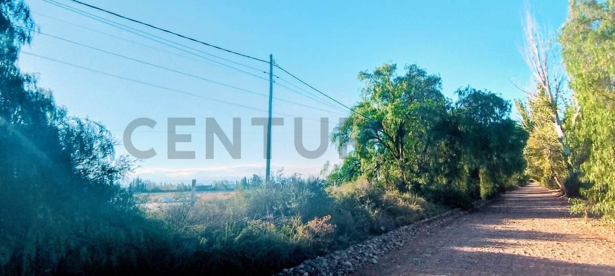 Terrada y Azcuenaga S/N, Maipú, Mendoza 5517, Argentine