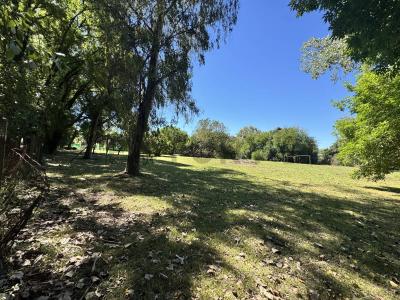 Domingo Lastra 1100, Moreno, GBA Oeste 1746, Argentine