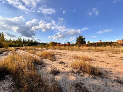 Almirante Brown 4535, Luján De Cuyo, Mendoza M5507, Argentina