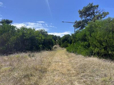 Avenida 3 y Paseo 155 0, Villa Gesell, Buenos Aires Costa Atlántica 7165, Argentina