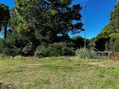 Perseo 1300, Pinamar, Buenos Aires Costa Atlántica 7167, Argentina