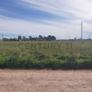 Charcas 5160, Bahía Blanca, Buenos Aires (fuera De GBA) 8000, Аргентина