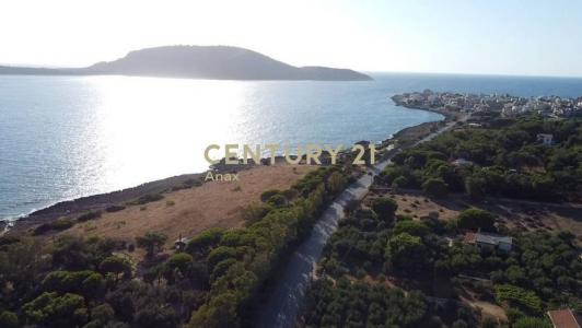 Gargalianoi, Messinia, Greece