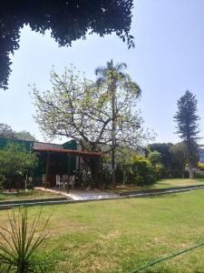 GALEANA N3 ESQUINA CON CALLE HIDALGO 1420,, Cuernavaca, 莫雷洛斯 62440, 墨西哥