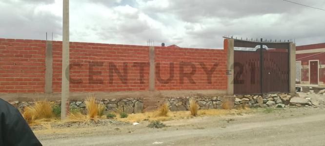 SOCAMANI MAGISTERIO , Este, Oruro 00001, Bolivia