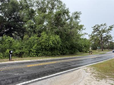 34184 Ridge Manor Boulevard, Dade City, Florida 33523, USA