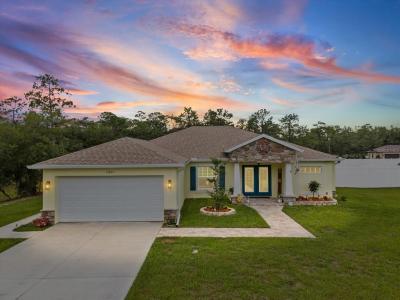 11051 Mirage Avenue, Weeki Wachee, Florida 34614, USA