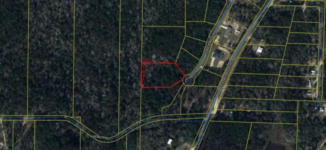 0 S Pleasant Drive, Defuniak Springs, Floride 32435, États-Unis