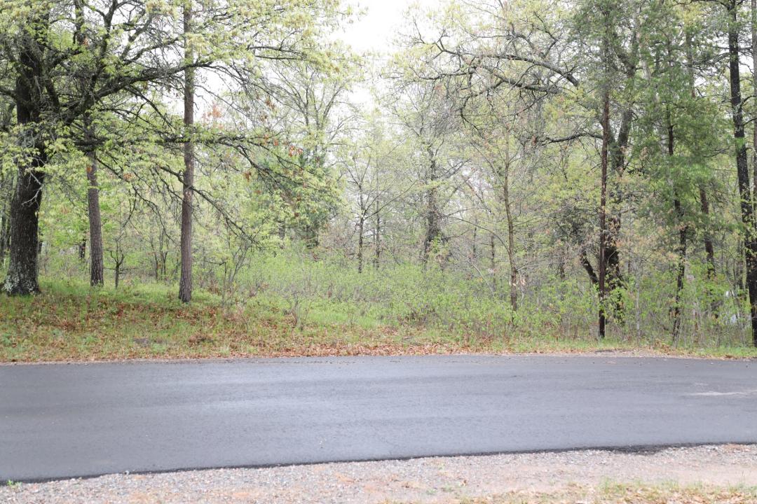 Lot 42 Highridge Oaks Addition to Voyager Village, Danbury, Wisconsin 54830, États-Unis