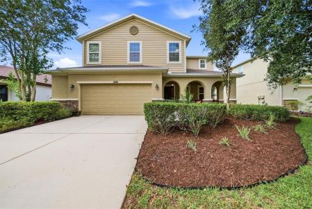 24115 San Giovanni Drive, Land O Lakes, Florida 34639, USA